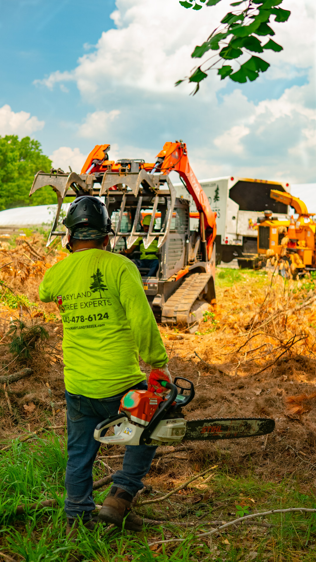 Land Clearing