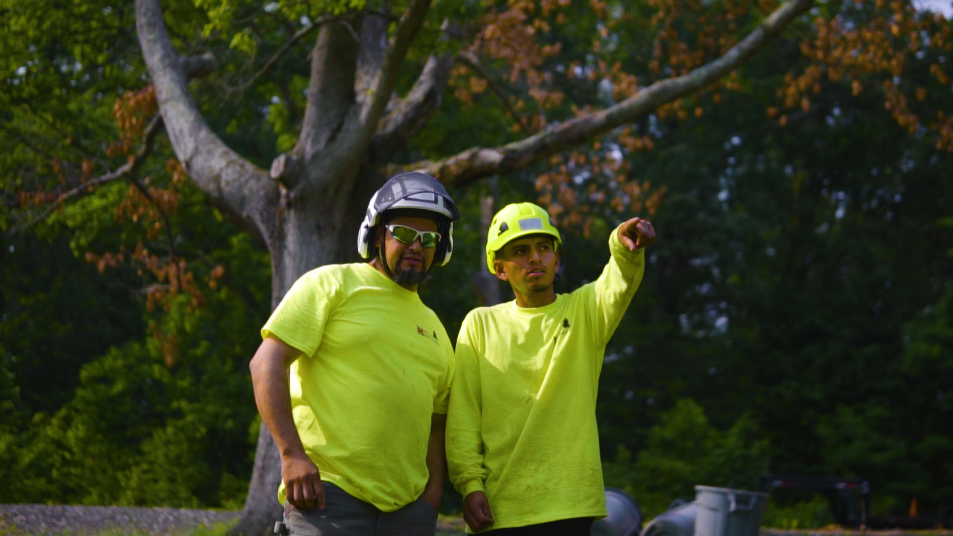 Maryland Tree Experts crew members on a job site