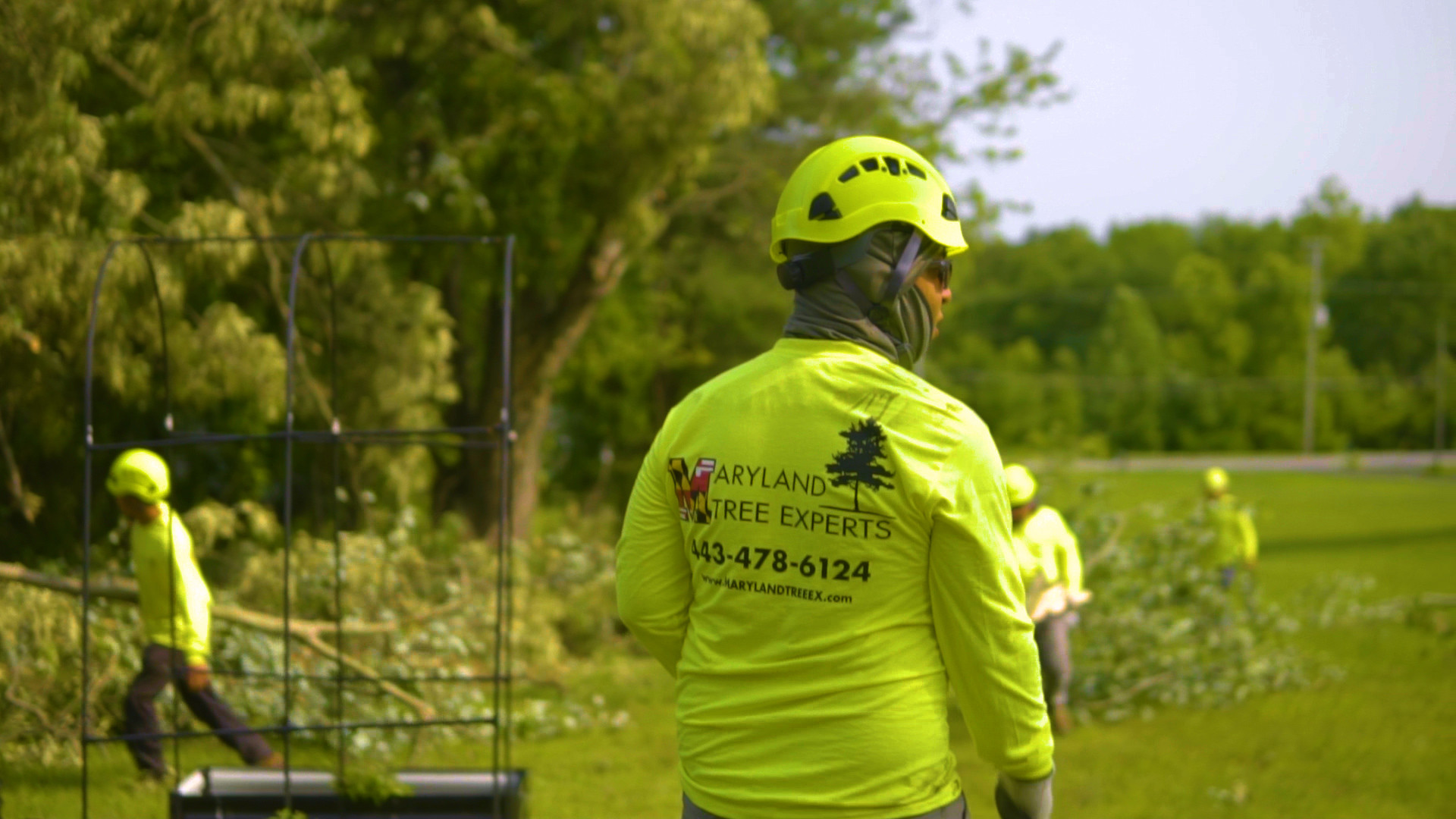 Maryland Tree Experts crew and equipment working on a residential property