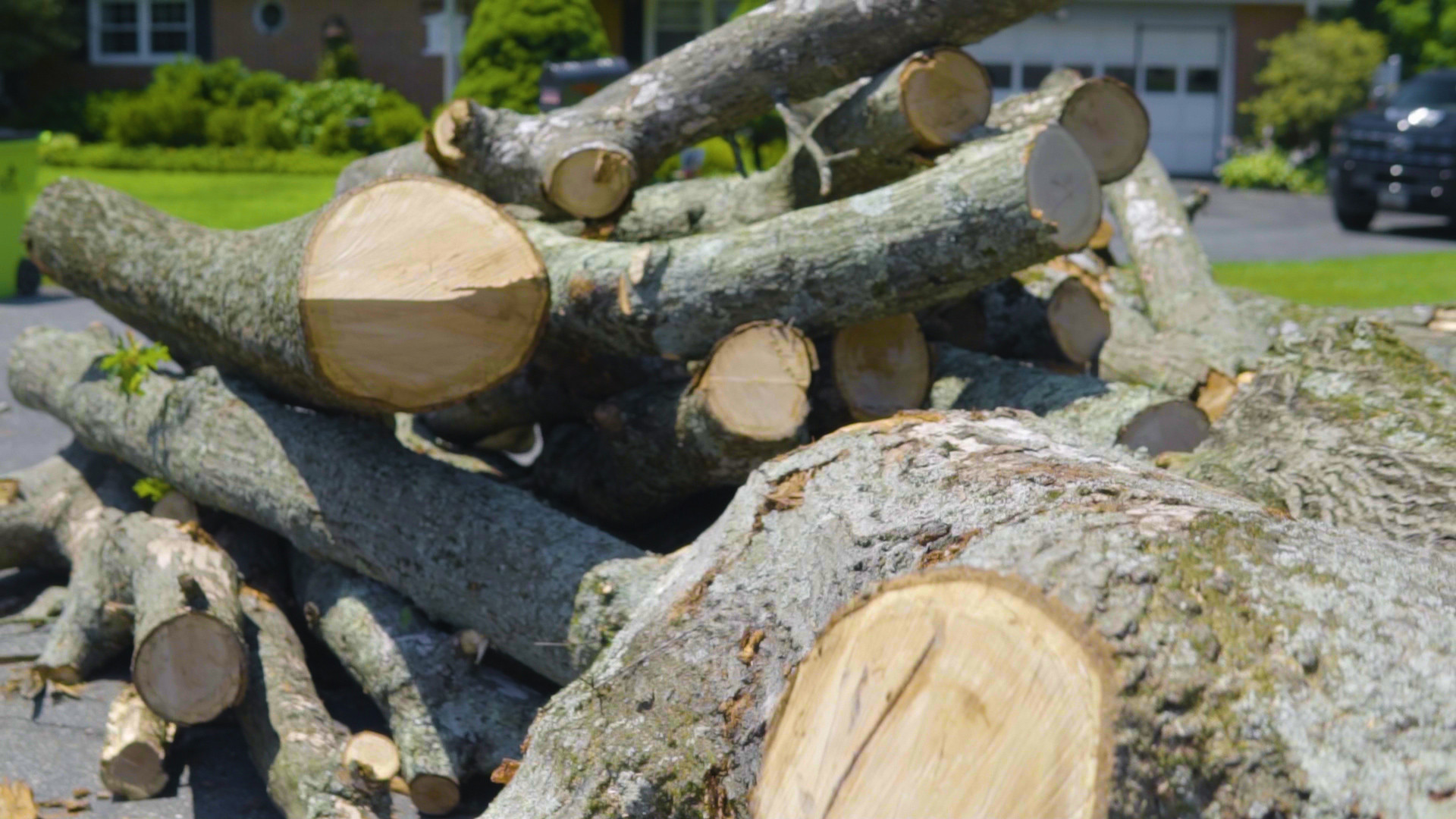 Branch Chipping